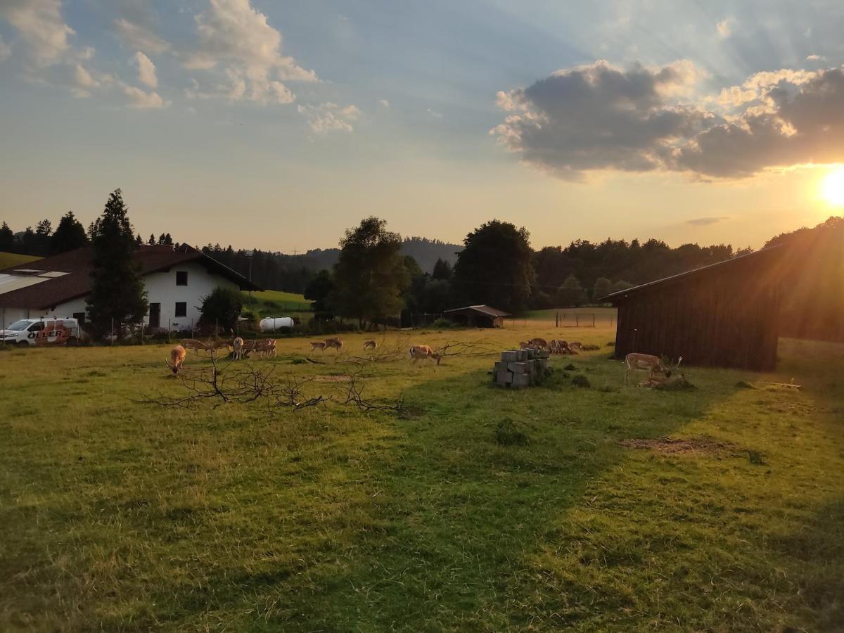 Pension Bachlhof Fursteneck Exterior foto
